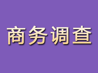 陕县商务调查