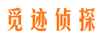 陕县调查公司